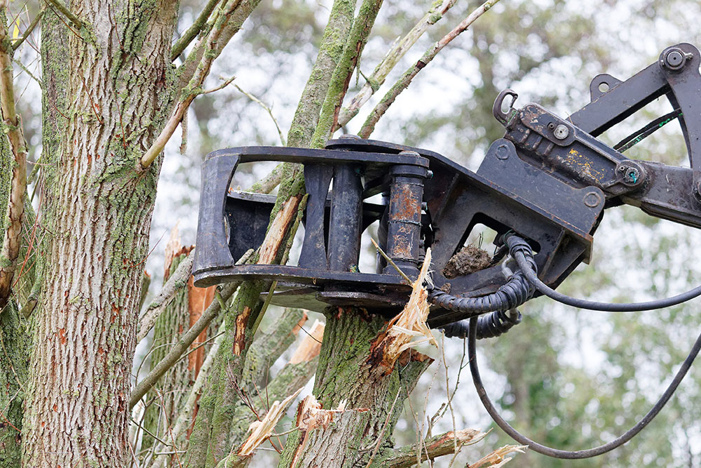 Broyeur forestier mécanique
