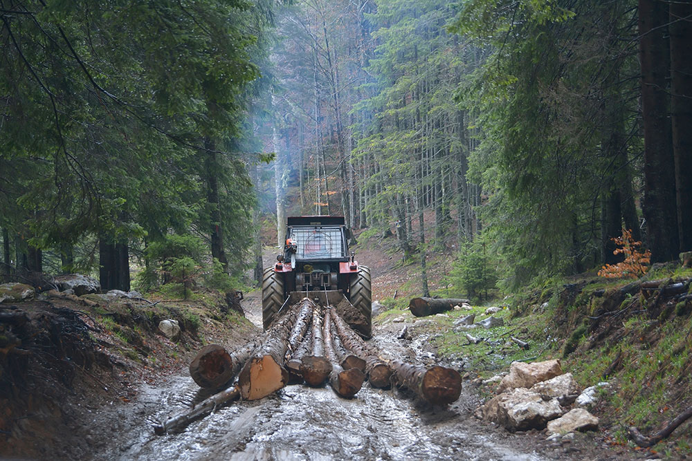 Tracteur forestier avec treuil